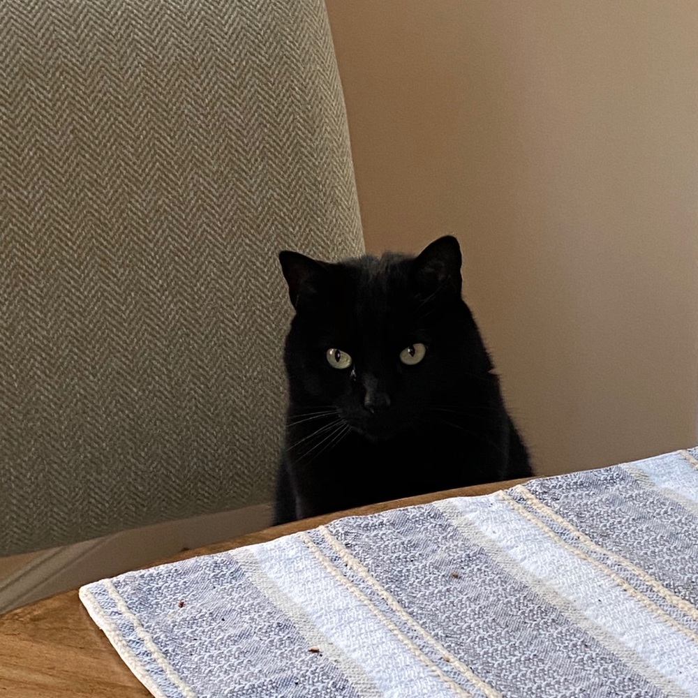 Meet your Posher, Natalie